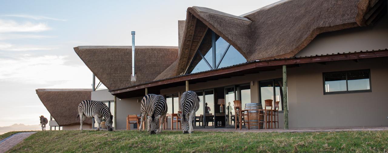 Jbay Zebra 4* Longmore